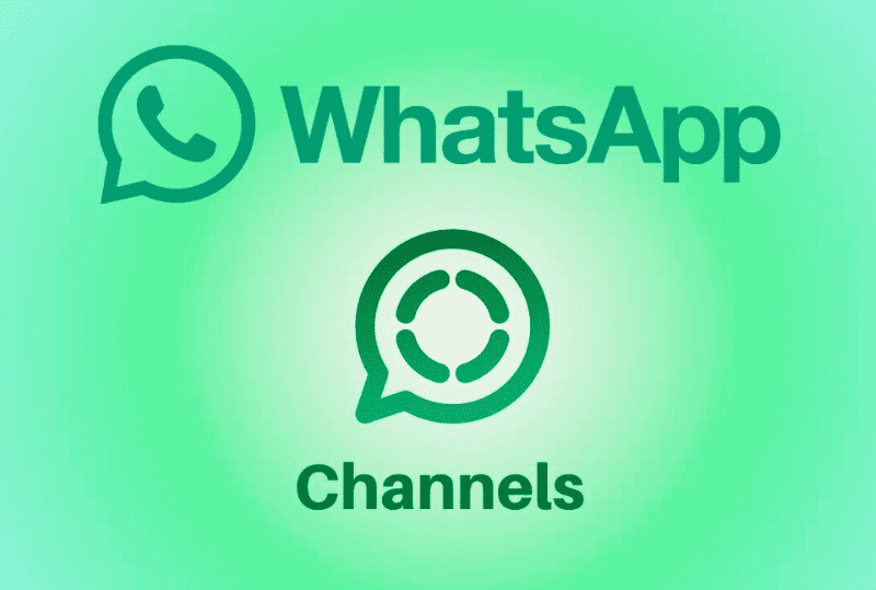 Celebrity WhatsApp Number - Find Real Contacts Now 2 66 1 1